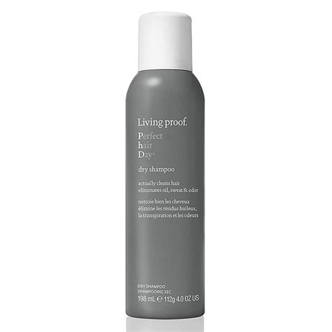 33 Best Dupes for Perfect Hair Day Dry Shampoo by Living Proof .